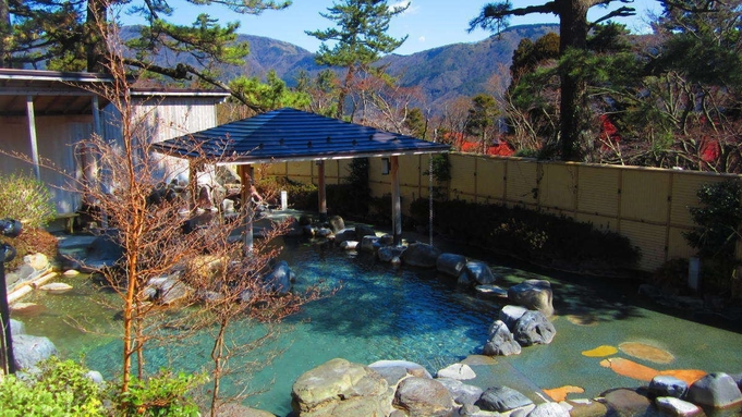 【チケット付/箱根小涌園ユネッサン】カップルやご友人で♪パスポート1日券付き特典プラン（1泊2食付）